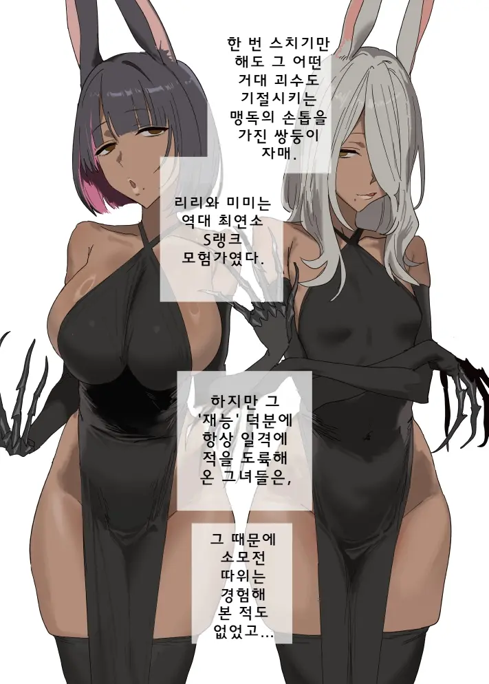 속・S랭크 천재 쌍둥이 모험가(성격 나쁨)가 고블린의 자지 훑기 전용 고기 주머니가 되는 녀석